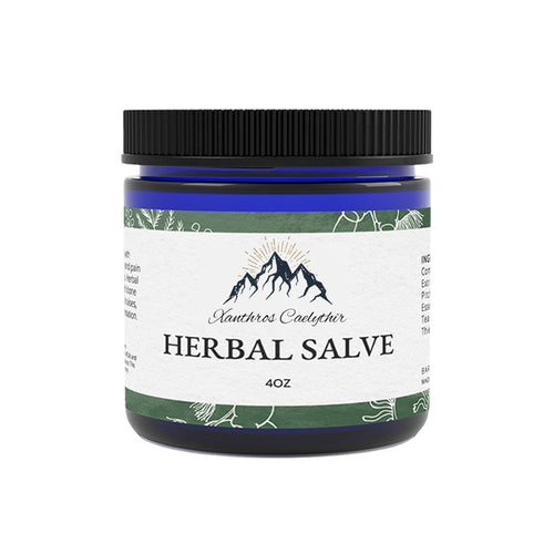 ORGANIC HERBAL SALVE 4OZ