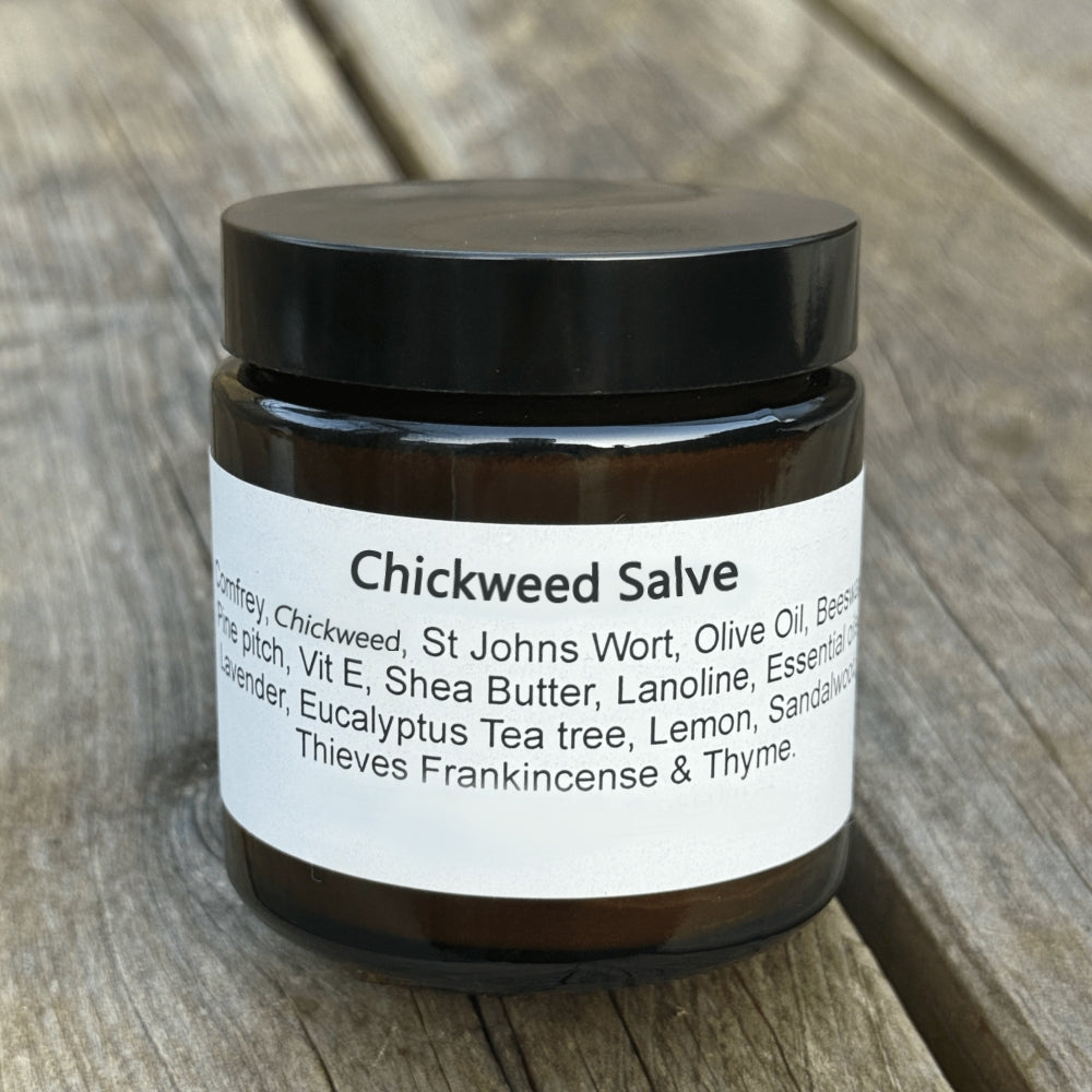 ORGANIC CHICKWEED SALVE 4OZ – Paini Ease